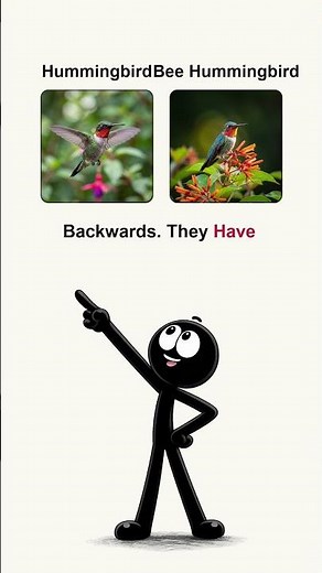 Hummingbird vs Bee Hummingbird | What's the Difference? 🐦🌺 #shorts