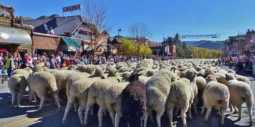 Ketchum celebrates 28th annual Trailing of the Sheep