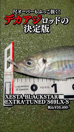 It will catch even over 10cm fish! If you want to catch big horse mackerel, use Zest Black Star E...