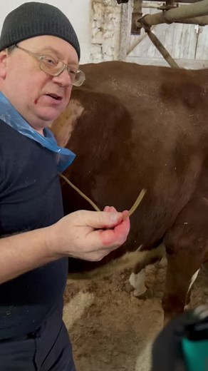 Алексей Николаевич Ковалев on TikTok