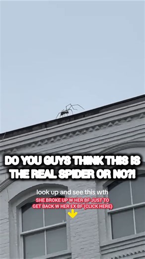 CAN'T BELIEVE found the spider in the top of this building?😳#shorts #trending #viral #funny #video