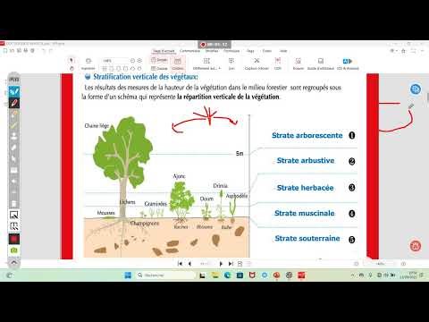 Sortie Écologique Tronc Commun – Partie 2 | Cours SVT expliqué