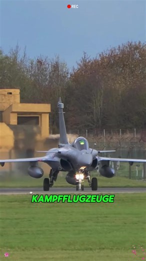 Understanding Key Principles of Science in Germany