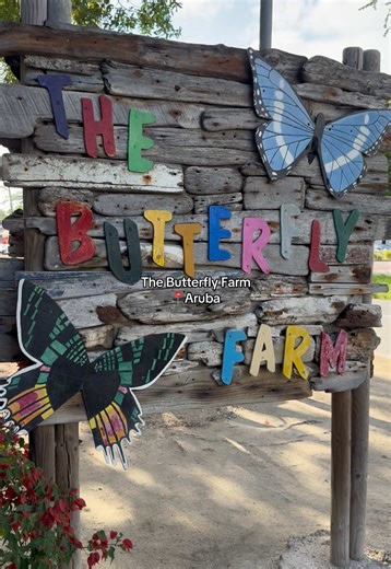 Explore The Butterfly Farm in Aruba
