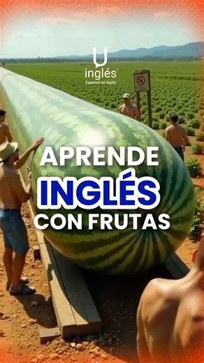 RESERVA YA PARA ENERO 2026 Niños (7 ), jóvenes y adultos. ✅CON BECA: ₡12.900 x mes ❌Tarifa normal: ₡64.500 *Pagas el 1er mes hasta el: 15/ENERO/2026. 🌐Curso virtual 100% en vivo ✅ REQUISITOS: 1- Saber leer y escribir. 2- Cédula al día y en buen estado. 3- Celular, tablet o computadora. 4- Conexión a internet estable. 5- Pagar matrícula: ₡3.000 📲Escríbenos por WhatsApp para llenar el formulario y apartar tu espacio: wa.me/50688607777 | Accidentes de Costa Rica.net
