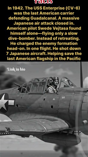 The American Dive-Bomber That Took Down 7 Japanese Fighters — US pilot Swede Vejtasa WWII