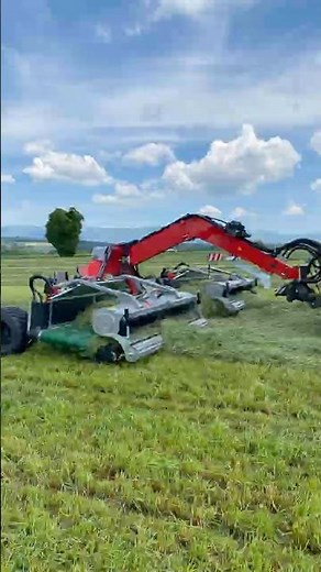 Maximize Your Harvest: How Belt Rakes Revolutionize Forage & Crop Farming Machinery!