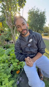 277 reactions · 15 comments | Australia मा spring मा रायाें साग...