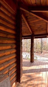 Circus job #funny #comedyvideo #jokes #puns #48 | The Guy Jr