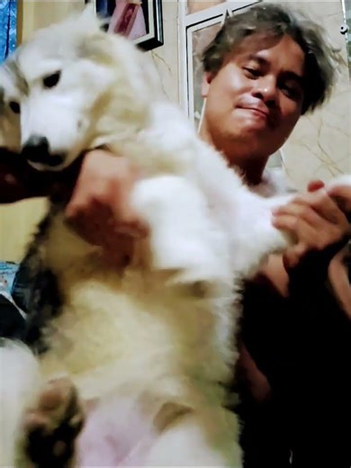 Dog lover muna tayo.mga idol #dog lovers