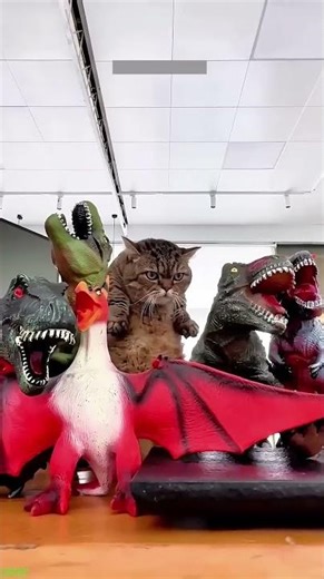 Grumpy Cat runs at full speed - YouTube Shorts Cat 😜 So Silly!