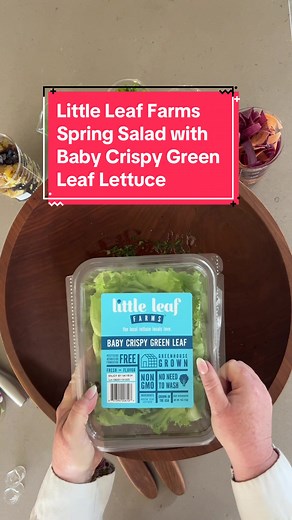 Fresh Spring Salad with Little Leaf Farms Baby Crispy Green Leaf Lettuce
