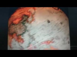 Barney A World Of Music 1998 VHS