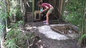 This just in: $15 admission for FL residents extended through Aug. 21! Bring the whole kit and caboodle. #LoveFL Details at http://goo.gl/Uu8r2 | ZooTampa at Lowry Park