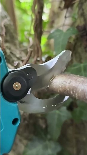 BIAOQINBO Akku-Astschere slomo schnitt