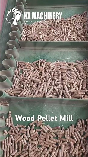 Heavy-duty Biomass Wood Sawdust Pellet Machine for Pellet Plant #pelletmachine