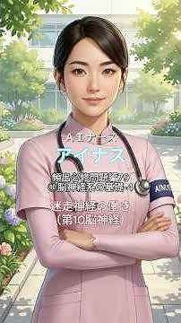 【看護師国家試験】 6月：解剖生理Ⅱ ⑩脳神経系の基礎-4 迷走神経の働き （第10脳神経）