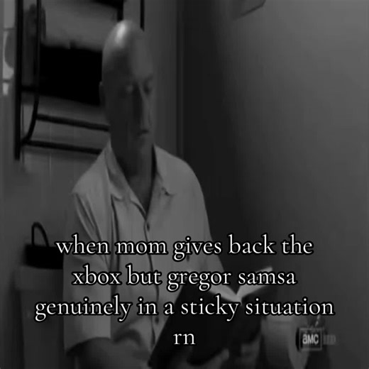 #giftok #kafka #literature #themetamorphosis | gregor samsa