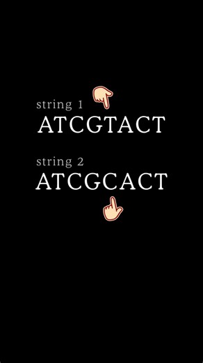 Count Differences Like a Pro 🔥 Hamming Distance