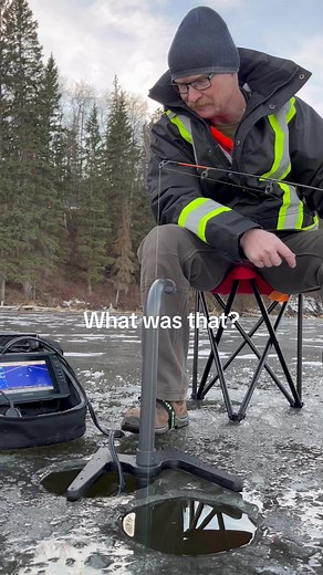 Mysterious Bigfoot Sounds in Canada