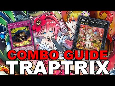 NEW TRAPTRIX! The ULTIMATE Traptrix Combo Guide + Decklist! (Yu-Gi-Oh! Master Duel)