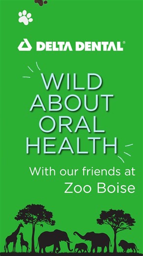 12 reactions | 醴 Wild About Oral Health: African Wild Dog Edition!...