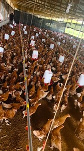 88K views · 1.8K reactions | FACTORS TO CONSIDER BEFORE STARTING A...