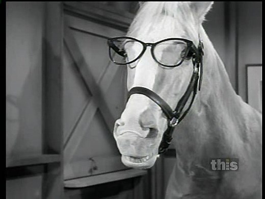 Mister Ed S06 143 Ed Goes To College [Final Episode]