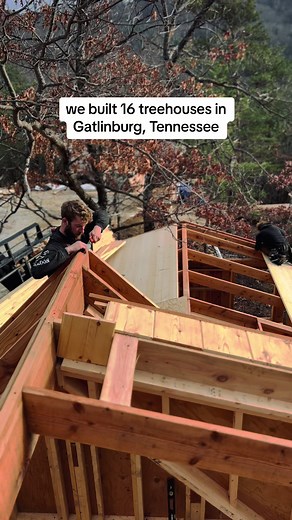 basically a treehouse village 🏡 #treehouse #treehousemasters #treehousebuilding #building #carpenterlife #treehouseresort #glamping #tennessee