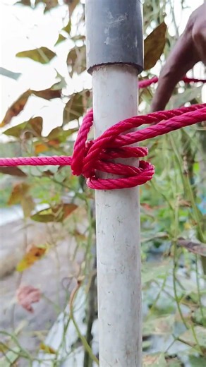 An easy and strong basic knot.