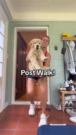 Caring for Your New Puppy: Essential Tips for Puppy Parents