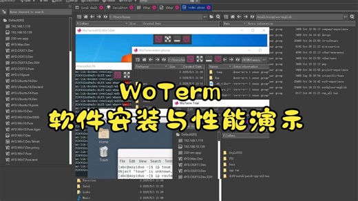 WoTerm的安装和性能演示