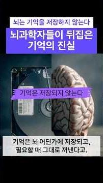 뇌는 기억을 저장하지 않는다 - 뇌과학자들이 뒤집은 기억의 진실 #과학 #지식 #과학쇼츠 #shorts #science #뇌과학