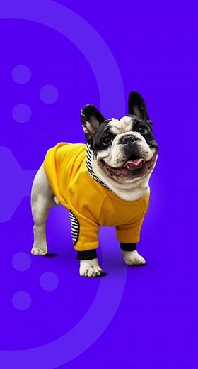 Balú Pets on TikTok