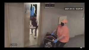 Monkey pays for pizza delivery.