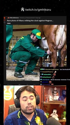 CHESS RELATED CONTENT???