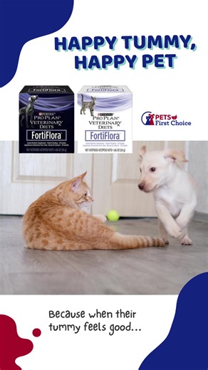 Digestive issues can happen, but supporting your pet’s gut health doesn’t have to be complicated. FortiFlora® is the probiotic pet parents trust to help restore balance, support digestion, and keep tails wagging 💛 ✨ Why it works: • Promotes healthy digestion & intestinal balance • Supports a strong immune system • Great for sensitive stomachs & stress-related upset • Easy-to-use powder pets actually love 👉 Give their gut the support it deserves: PetsFirstChoiceRx.com First-time buyers get 20% 