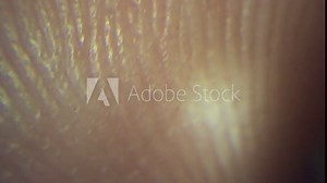 Finger print under microscope. Unique identification forensic biology concept