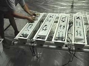 Top Feed Drip Hydroponics