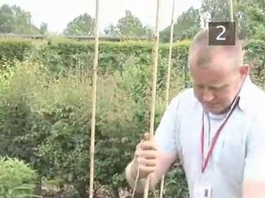 How To Build A Wigwam Support For Runner Beans