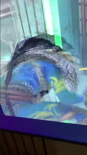 I have been loving this game lately