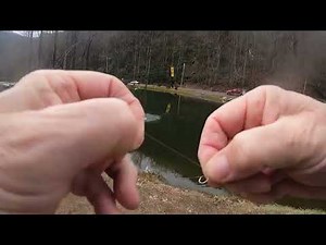 Throwback from this spring at the KOA Campground ponds in Cherokee, NC.
