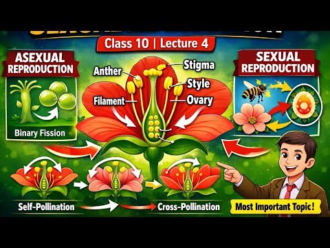 Lecture 4 | Reproduction in Organisms | Class 10 CBSE Science
