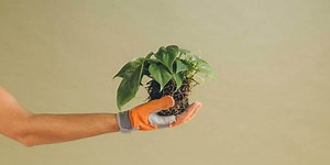 ¿Qué se hace en atención al cliente para impactar en ventas?