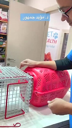 Raging Cat Sounds at the Vet | Funny and Viral Pet Video