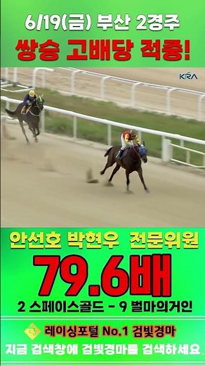 [Busan Horse Racing] June 19th Friday Race 2, Expert Analysts Ahn Seon-ho & Park Hyun-woo Hit the...