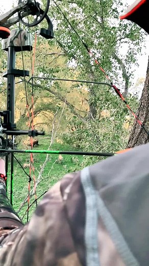 She gone. #bowhunting #deerseason #mathewsbows #nomadcamo