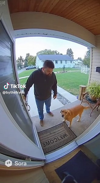 Exploring Sora AI Features and Benefits