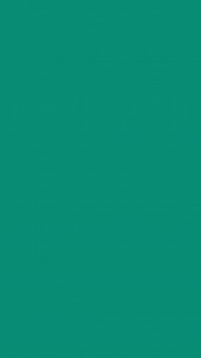 Cameo Project on Reels