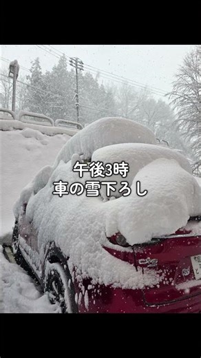 明日かぐらは、Japow祭り❄️｜朝は霙→40cm→雪雲の中 #japow